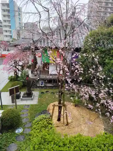 宝勝山　南藏院   蓮光寺の末社