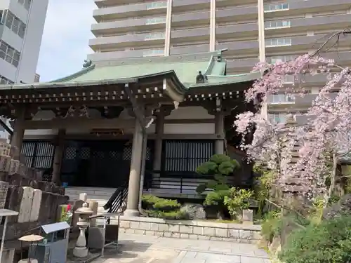 善導寺の本殿・本堂