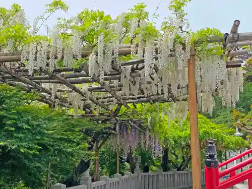 観音山慈眼院（高崎観音）の自然