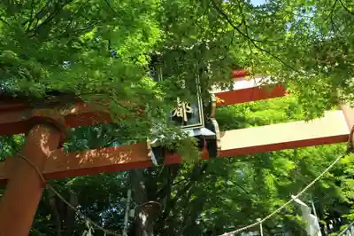 阿賀神社の鳥居