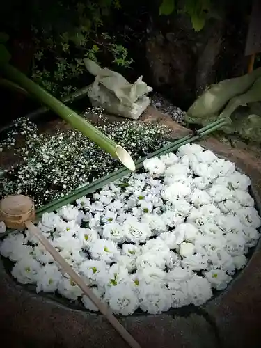 東京羽田 穴守稲荷神社の手水舎