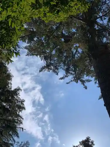 滑川神社 - 仕事と子どもの守り神(福島県)