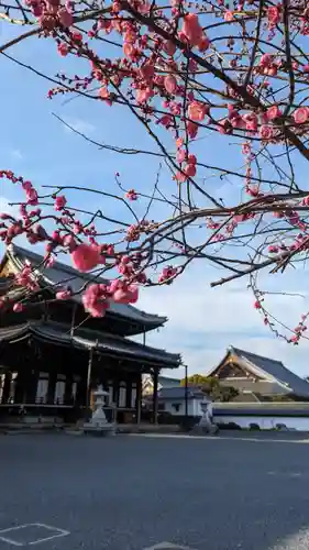 興正寺(京都府)