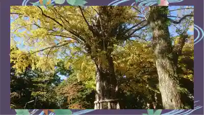 赤坂氷川神社(東京都)