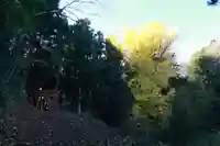 乙宿禰神社の自然