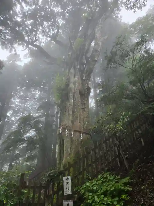 玉置神社(奈良県)