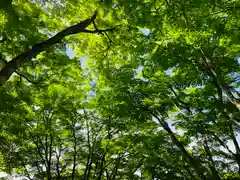 土津神社｜こどもと出世の神さまの自然