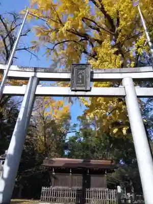 闇之森八幡社(愛知県)