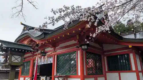佐久奈度神社(滋賀県)