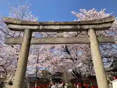 六孫王神社(京都府)