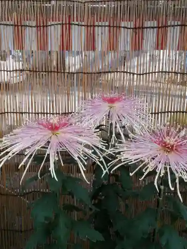 一言主神社の自然