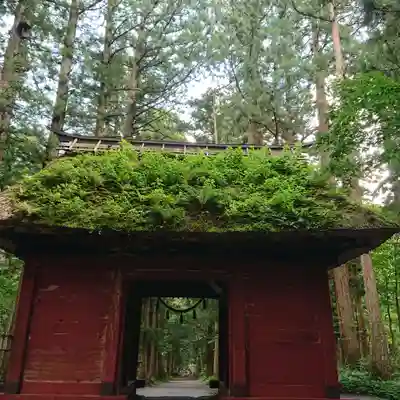 戸隠神社奥社(長野県)
