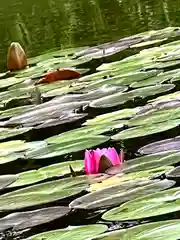 仁科神社(長野県)