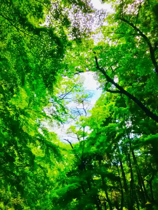 香取神宮の周辺