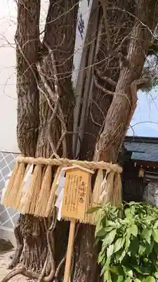 櫛田神社のその他建物