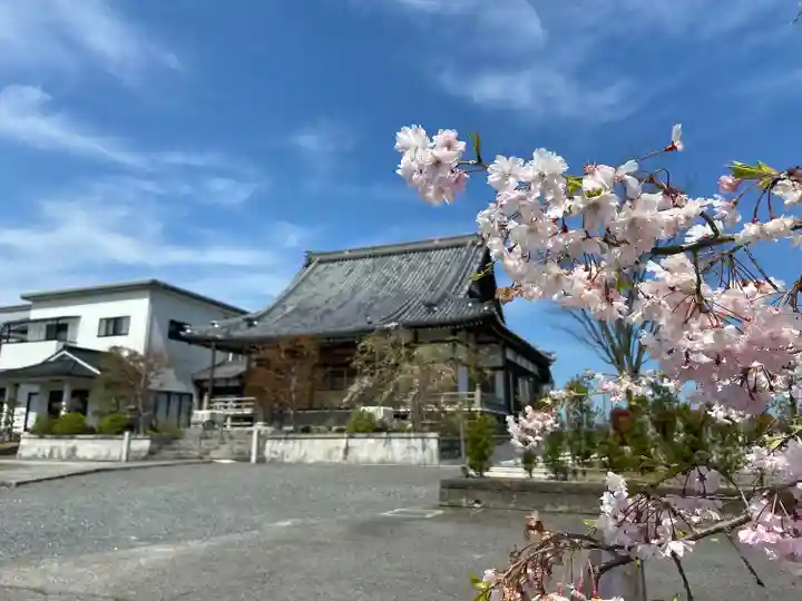 領善寺(滋賀県)