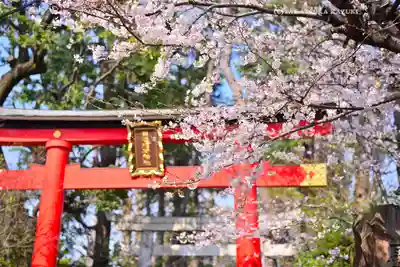 馬橋稲荷神社(東京都)