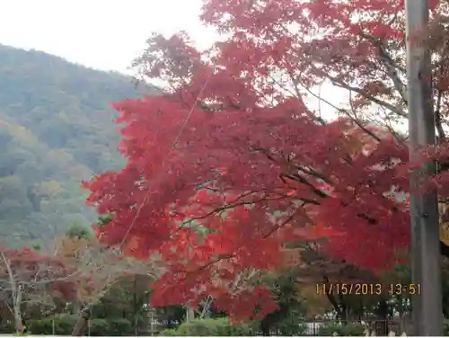 天龍寺(京都府)