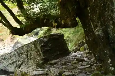 東陸様(高知県)