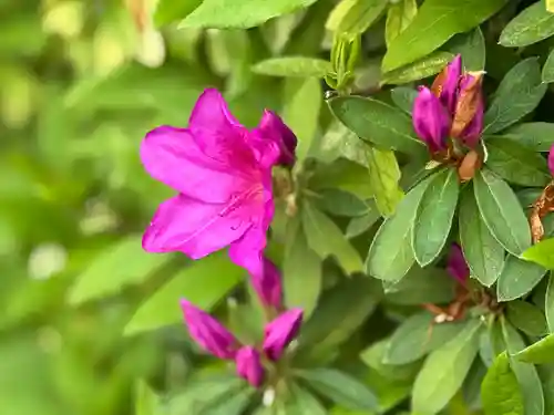 西方山極楽寺(岐阜県)
