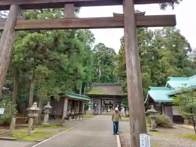 若狭姫神社（若狭彦神社下社）の{uncategorized: "未分類", other: "その他", undefined: "問題あり", building: "その他建物", grave: "お墓", sacred_gate: "鳥居", guardian: "狛犬", statue: "像", buddha: "仏像", history: "歴史", nature: "自然", garden: "庭園", animal: "動物", pagoda: "塔", temizu: "手水舎", mountain_gate: "山門・神門", sanctuary: "本殿・本堂", subordinate: "末社・摂社", art: "芸術", scenery: "景色", jizo: "地蔵", ema: "絵馬", goshuin: "御朱印", omikuji: "おみくじ", items: "授与品その他", amulet: "お守り", goshuincho: "御朱印帳", eats: "食事", festival: "お祭り", votive_dance: "神楽", shichigosan: "七五三参", wedding: "結婚式", experience: "体験その他", initially: "初詣", around: "周辺", anti_infection: "感染症対策"}