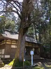 若狭姫神社（若狭彦神社下社）(福井県)