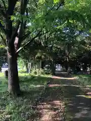 江守神社(福井県)