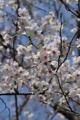 極楽寺（霊鷲山感應院極楽律寺）の{uncategorized: "未分類", other: "その他", undefined: "問題あり", building: "その他建物", grave: "お墓", sacred_gate: "鳥居", guardian: "狛犬", statue: "像", buddha: "仏像", history: "歴史", nature: "自然", garden: "庭園", animal: "動物", pagoda: "塔", temizu: "手水舎", mountain_gate: "山門・神門", sanctuary: "本殿・本堂", subordinate: "末社・摂社", art: "芸術", scenery: "景色", jizo: "地蔵", ema: "絵馬", goshuin: "御朱印", omikuji: "おみくじ", items: "授与品その他", amulet: "お守り", goshuincho: "御朱印帳", eats: "食事", festival: "お祭り", votive_dance: "神楽", shichigosan: "七五三参", wedding: "結婚式", experience: "体験その他", initially: "初詣", around: "周辺", anti_infection: "感染症対策"}