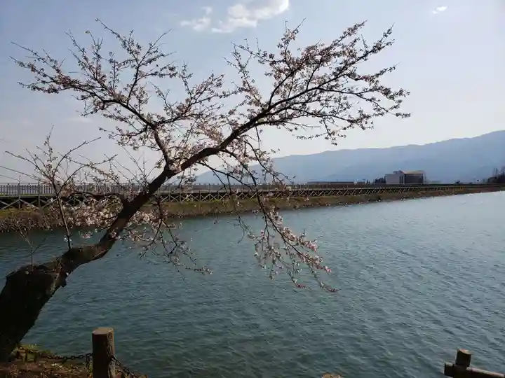 桜ヶ池神社の景色