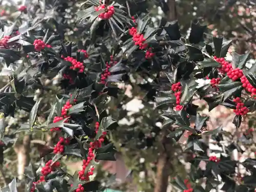 木舟山　順教寺の自然