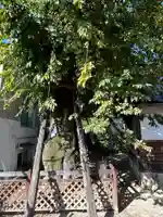 聖山稲生神社(広島県)