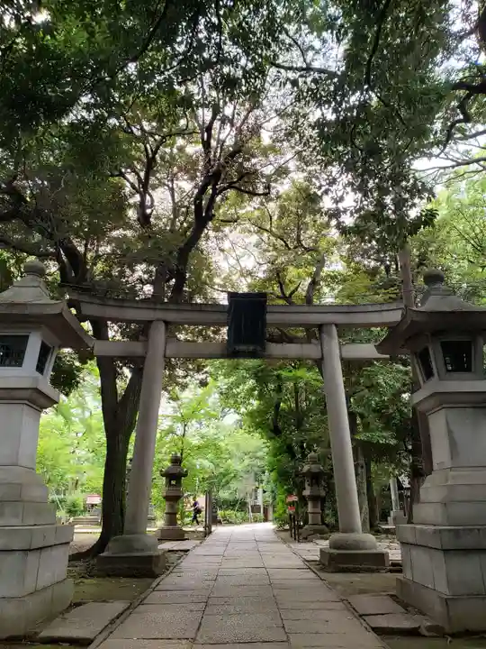 赤坂氷川神社の鳥居