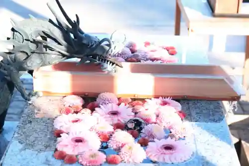 川越八幡宮の{uncategorized: "未分類", other: "その他", undefined: "問題あり", building: "その他建物", grave: "お墓", sacred_gate: "鳥居", guardian: "狛犬", statue: "像", buddha: "仏像", history: "歴史", nature: "自然", garden: "庭園", animal: "動物", pagoda: "塔", temizu: "手水舎", mountain_gate: "山門・神門", sanctuary: "本殿・本堂", subordinate: "末社・摂社", art: "芸術", scenery: "景色", jizo: "地蔵", ema: "絵馬", goshuin: "御朱印", omikuji: "おみくじ", items: "授与品その他", amulet: "お守り", goshuincho: "御朱印帳", eats: "食事", festival: "お祭り", votive_dance: "神楽", shichigosan: "七五三参", wedding: "結婚式", experience: "体験その他", initially: "初詣", around: "周辺", anti_infection: "感染症対策"}