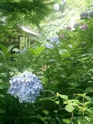 長谷寺のその他建物