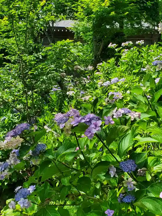 石都々古和気神社(福島県)