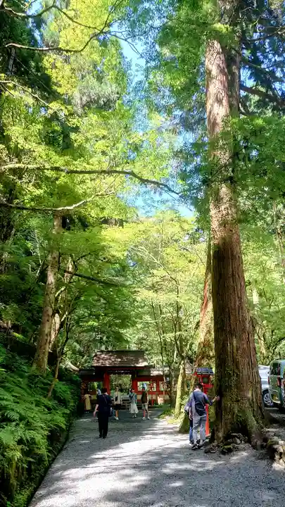 貴船神社(京都府)