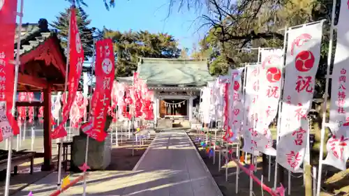 白岡八幡神社(埼玉県)