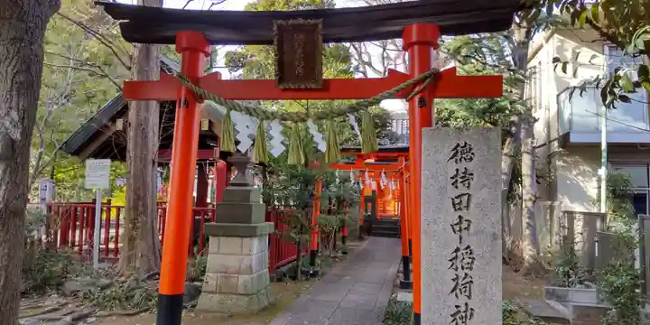 徳持神社の鳥居