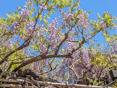 西院春日神社(京都府)