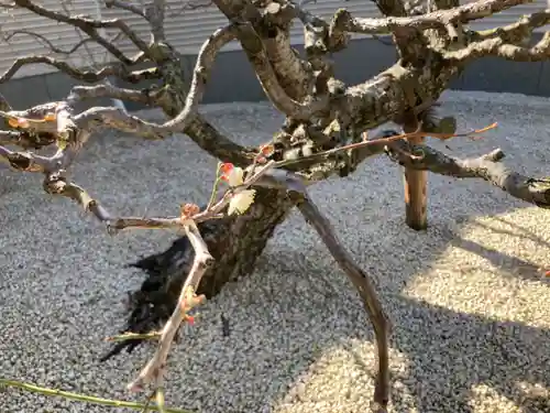 勝楽寺(東京都)