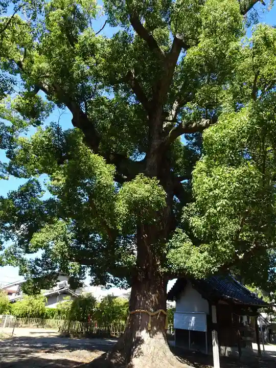 華表神社(大阪府)