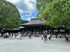 明治神宮(東京都)