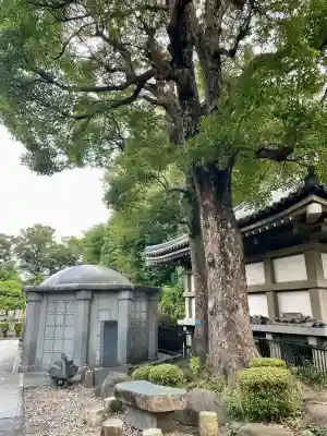 常楽寺(神奈川県)