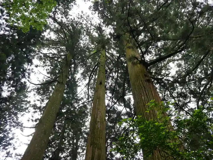 花園神社(茨城県)