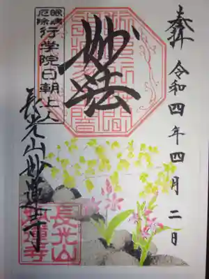 御朱印 紫蘭と日向水木