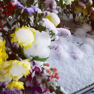 滑川神社 - 仕事と子どもの守り神の手水舎(2021年01月30日(土) 23時21分12秒投稿)