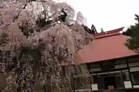 永泉寺の本殿・本堂
