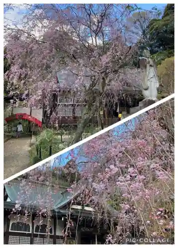 本土寺(千葉県)