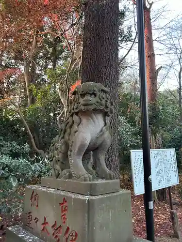 岩槻久伊豆神社(埼玉県)