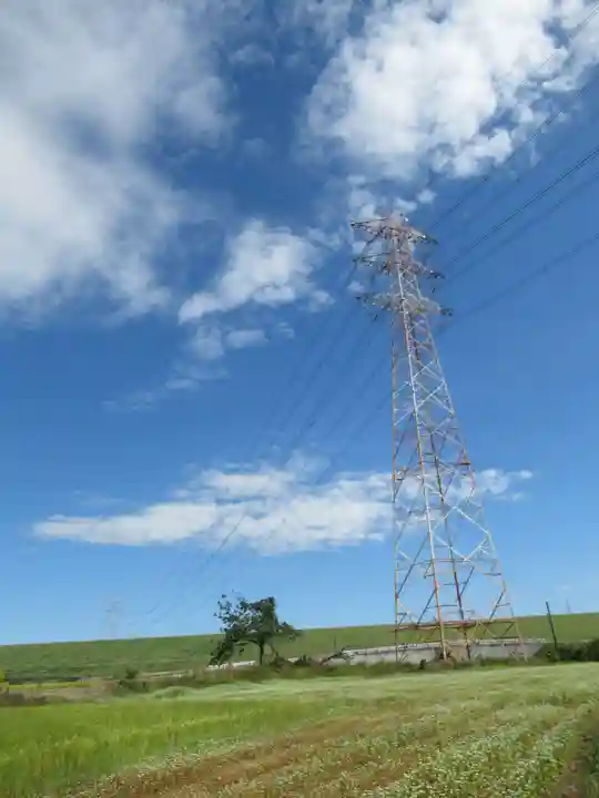 子の権現神社(埼玉県)